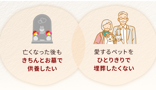 亡くなった後もきちんとお墓で供養したい　愛するペットを一人きりで埋葬したくない
